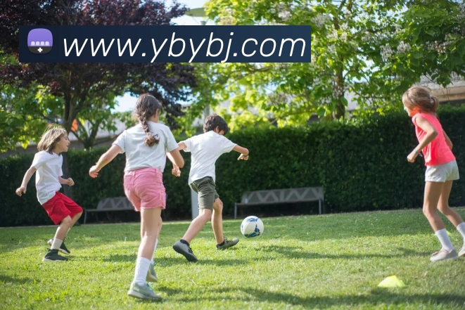 体育App 体育App